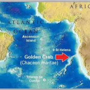 Golden Crab Map