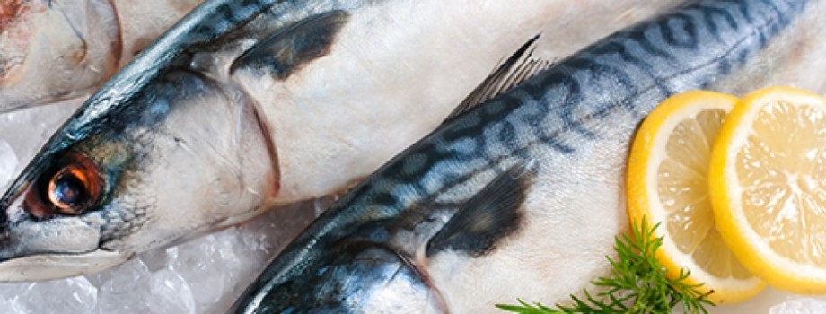 12 Health Benefits of Eating Fish - Kobe Jones