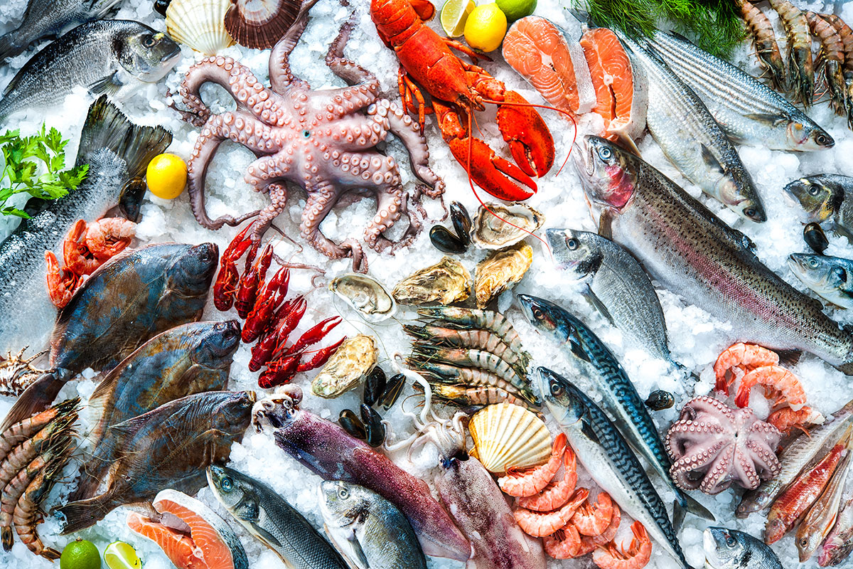 Seafood Fish Shop, 56% OFF | www.ingeniovirtual.com